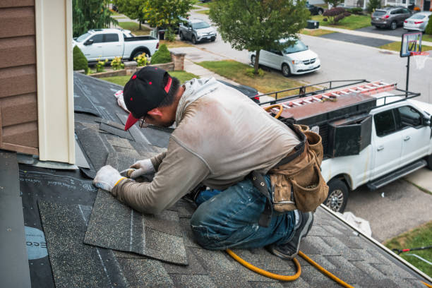 Professional Storm Damage Roof Repair technician working in Anderson, MO